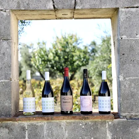 Resort Viglione Wine Resort
