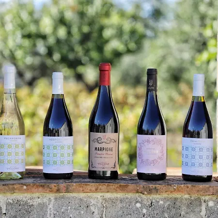 Viglione Wine Resort Santeramo in Colle