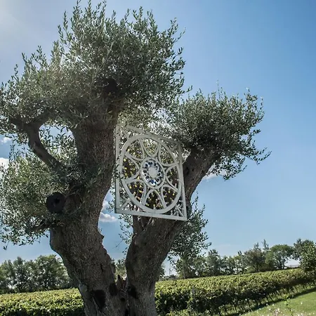Viglione Wine Resort Resort
